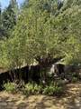 5010 Griffin Creek Road - Photo 34