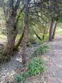 5010 Griffin Creek Road - Photo 7