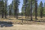 56672 Red Bark Lane - Photo 3