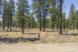 56694 Red Bark Lane - Photo 3