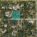 6101 Michael Road - Photo 1