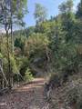 00 Savage Creek Road - Photo 14