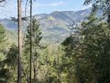 00 Savage Creek Road - Photo 2
