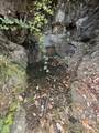00 Savage Creek Road - Photo 4