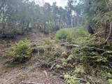 00 Savage Creek Road - Photo 6