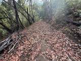 00 Savage Creek Road - Photo 9