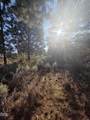 0 Palouse Lane - Photo 3