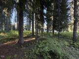 27428 Odell Road - Photo 15
