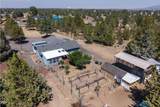 12986 Wheatgrass Loop - Photo 10