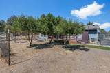 12986 Wheatgrass Loop - Photo 18
