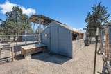 12986 Wheatgrass Loop - Photo 19
