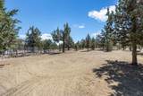 12986 Wheatgrass Loop - Photo 20