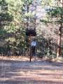 541 Mathews Road - Photo 36
