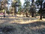 541 Mathews Road - Photo 37
