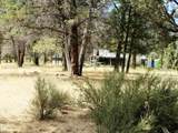 541 Mathews Road - Photo 39