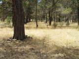 541 Mathews Road - Photo 40