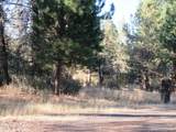 541 Mathews Road - Photo 43