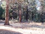 541 Mathews Road - Photo 44