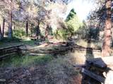 541 Mathews Road - Photo 46