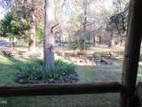 541 Mathews Road - Photo 53