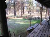 541 Mathews Road - Photo 54