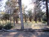 541 Mathews Road - Photo 61