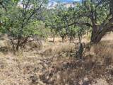  Neil Creek Road - Photo 11