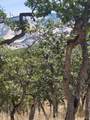  Neil Creek Road - Photo 13