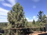 4819 Falcon Drive - Photo 22