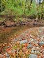 4315 Coyote Creek Road - Photo 91