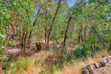 887 Three Pines Road - Photo 23