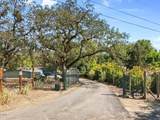 1591 Highway 234 - Photo 4