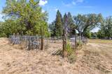 1591 Highway 234 - Photo 47
