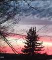 20037 Lefever Street - Photo 80