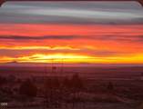 20037 Lefever Street - Photo 81