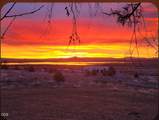20037 Lefever Street - Photo 82