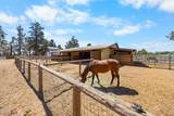 19100 Couch Market Road - Photo 36