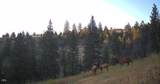 44540 Wind Creek Lane - Photo 1