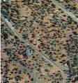 0 Fox Sparrow Drive - Photo 4