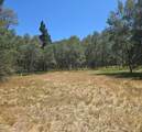 3520 Holbrook Street - Photo 3