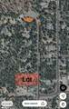 56031 Savage Drive - Photo 4