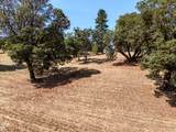 3563 Stage Road - Photo 6