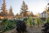 13714 Chipmunk Road - Photo 39