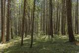 396 Daily Lane - Photo 56