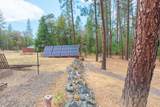 4529 Evans Creek Road - Photo 6