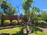 555 Freeman Road - Photo 43