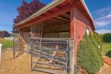 4867 Lower River Road - Photo 38