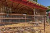 4867 Lower River Road - Photo 39