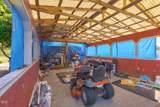 4867 Lower River Road - Photo 52
