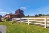 4867 Lower River Road - Photo 58